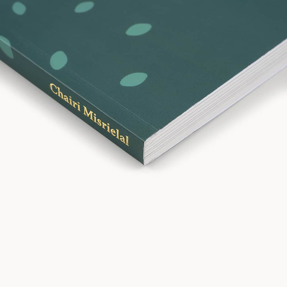 goudopdruk op de rug bij een softcover