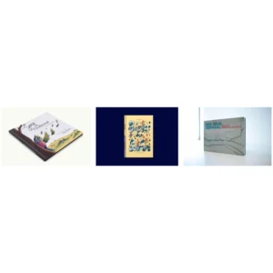 Vergelijking van drie boeken in verschillende formaten: vierkant, staand en liggend. 